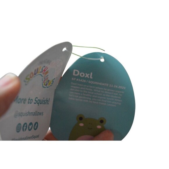 Squishmallows Doxl Frog Plush Toy 7" Green Rainbow Belly Soft Stuffed Animal - Picture 3 of 4